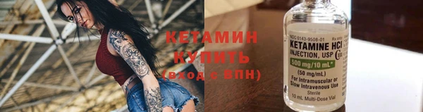 крисы Алексин