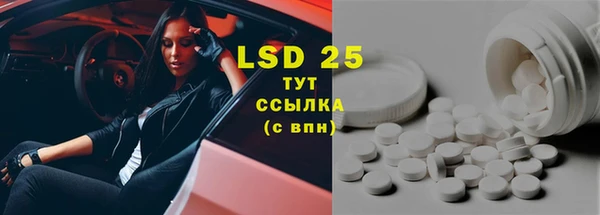 прущие грибы Алексеевка