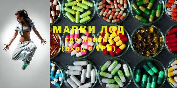 прущие грибы Алексеевка