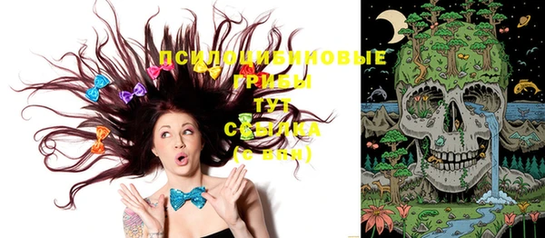 крисы Алексин