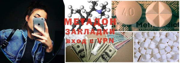 прущие грибы Алексеевка