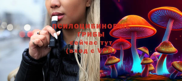 прущие грибы Алексеевка