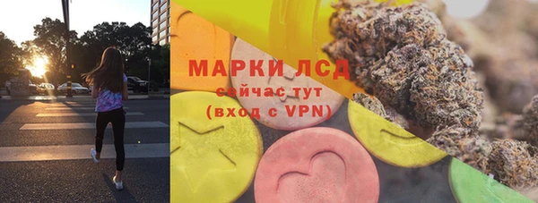 прущие грибы Алексеевка